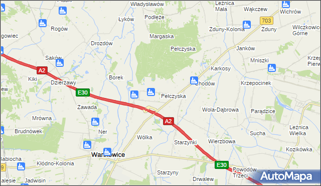 mapa Pełczyska gmina Wartkowice, Pełczyska gmina Wartkowice na mapie Targeo