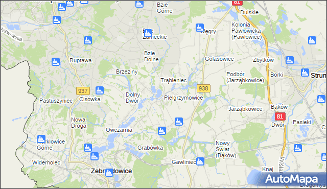 mapa Pielgrzymowice gmina Pawłowice, Pielgrzymowice gmina Pawłowice na mapie Targeo