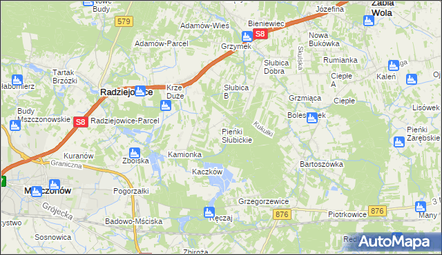 mapa Pieńki Słubickie, Pieńki Słubickie na mapie Targeo