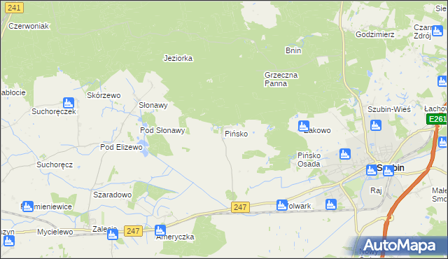 mapa Pińsko, Pińsko na mapie Targeo
