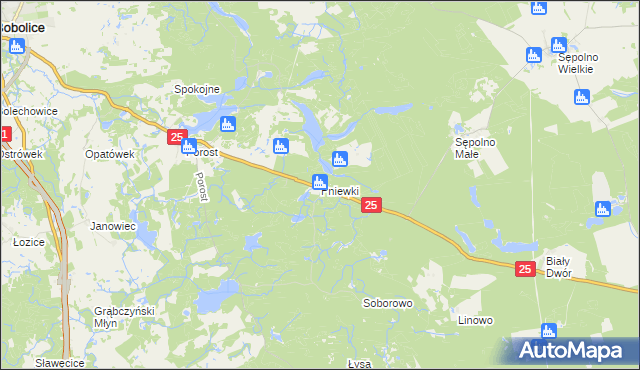 mapa Pniewki, Pniewki na mapie Targeo