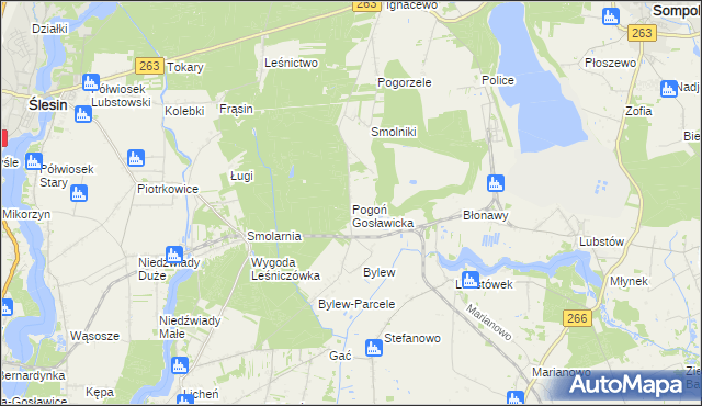 mapa Pogoń Gosławicka, Pogoń Gosławicka na mapie Targeo