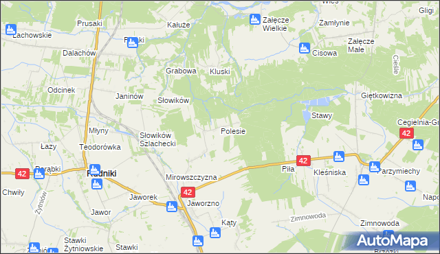 mapa Polesie gmina Rudniki, Polesie gmina Rudniki na mapie Targeo