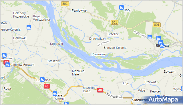 mapa Prażmów gmina Stężyca, Prażmów gmina Stężyca na mapie Targeo