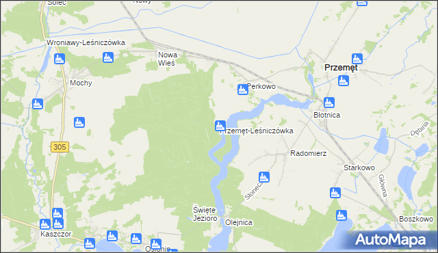 mapa Przemęt-Leśniczówka, Przemęt-Leśniczówka na mapie Targeo