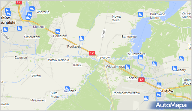 mapa Przygłów, Przygłów na mapie Targeo
