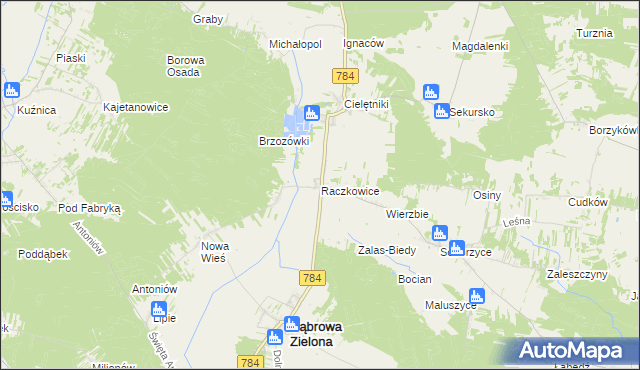 mapa Raczkowice, Raczkowice na mapie Targeo
