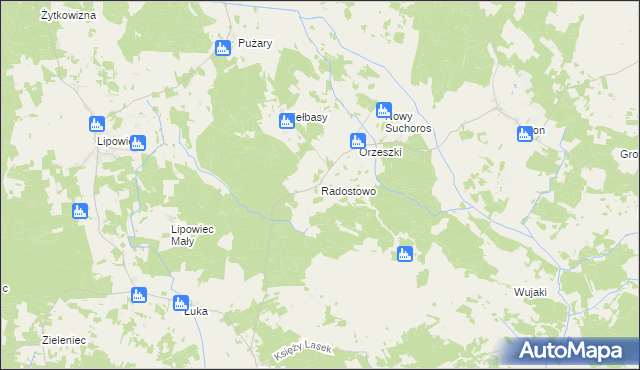 mapa Radostowo gmina Rozogi, Radostowo gmina Rozogi na mapie Targeo