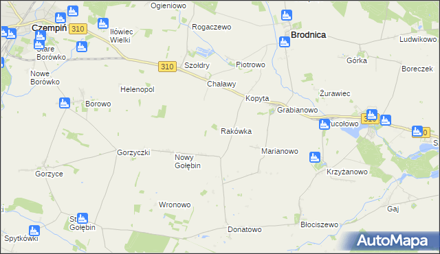 mapa Rakówka gmina Czempiń, Rakówka gmina Czempiń na mapie Targeo