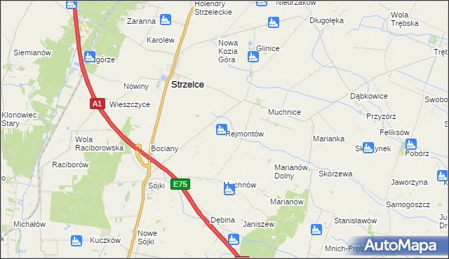 mapa Rejmontów, Rejmontów na mapie Targeo