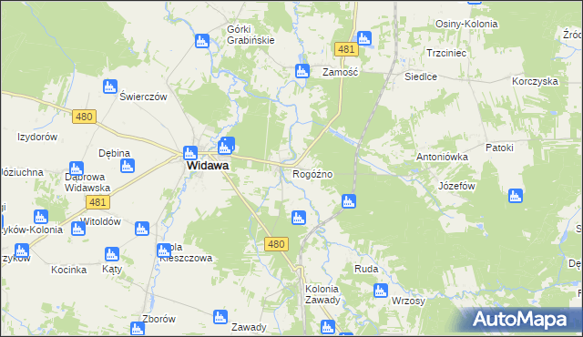 mapa Rogóźno gmina Widawa, Rogóźno gmina Widawa na mapie Targeo