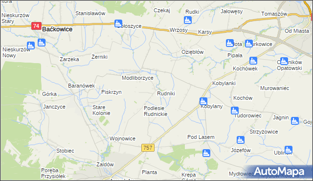 mapa Rudniki gmina Baćkowice, Rudniki gmina Baćkowice na mapie Targeo