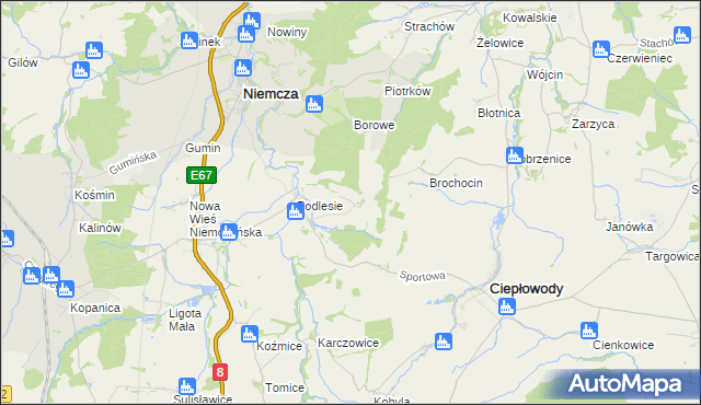 mapa Ruszkowice gmina Niemcza, Ruszkowice gmina Niemcza na mapie Targeo