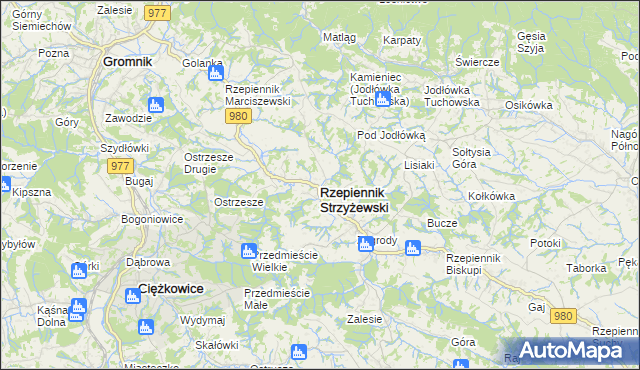 mapa Rzepiennik Strzyżewski, Rzepiennik Strzyżewski na mapie Targeo