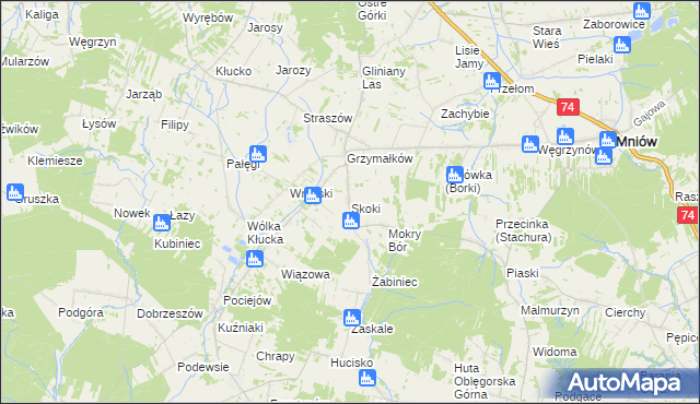 mapa Skoki gmina Mniów, Skoki gmina Mniów na mapie Targeo