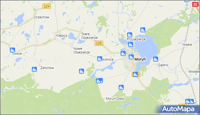 mapa Skotnica gmina Moryń, Skotnica gmina Moryń na mapie Targeo