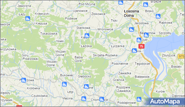 mapa Skrzętla-Rojówka, Skrzętla-Rojówka na mapie Targeo