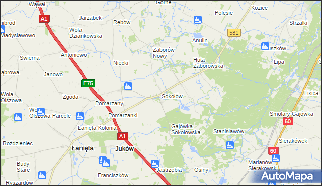 mapa Sokołów gmina Gostynin, Sokołów gmina Gostynin na mapie Targeo
