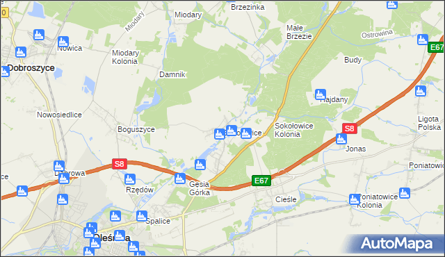 mapa Sokołowice gmina Oleśnica, Sokołowice gmina Oleśnica na mapie Targeo