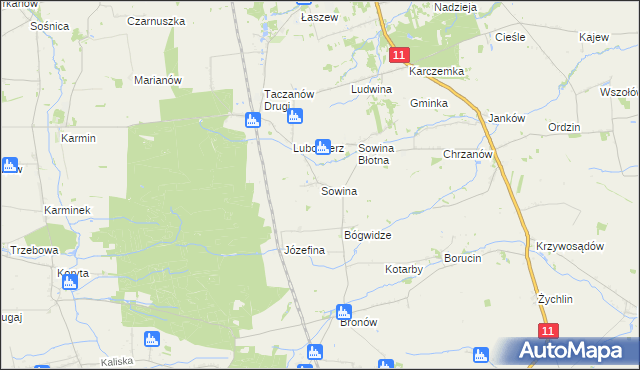 mapa Sowina gmina Pleszew, Sowina gmina Pleszew na mapie Targeo