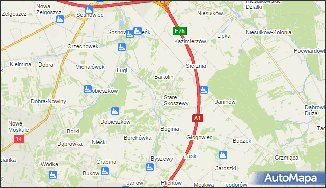mapa Stare Skoszewy, Stare Skoszewy na mapie Targeo