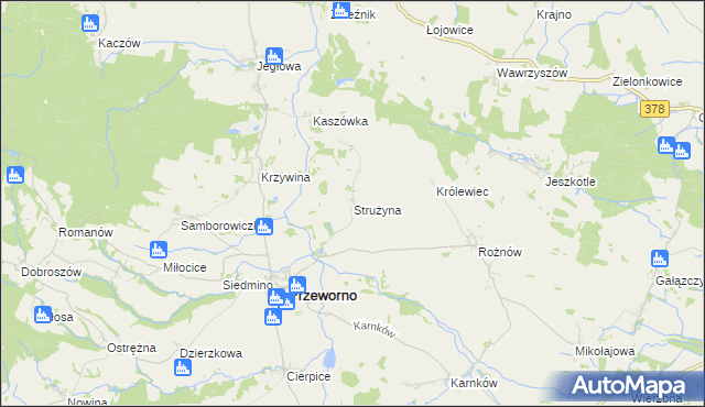 mapa Strużyna gmina Przeworno, Strużyna gmina Przeworno na mapie Targeo