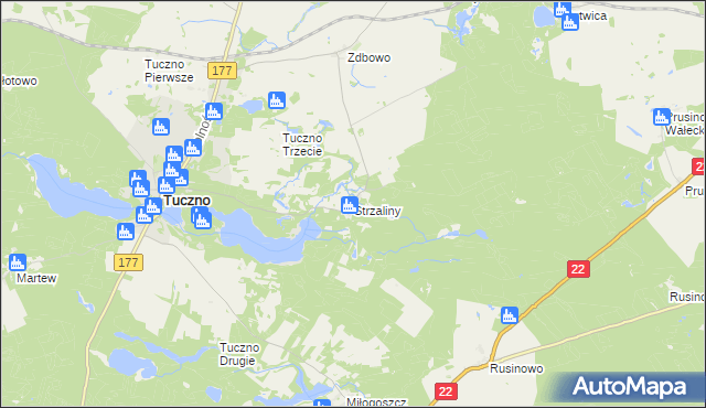 mapa Strzaliny, Strzaliny na mapie Targeo