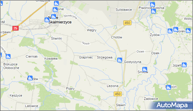 mapa Strzegowa gmina Nowe Skalmierzyce, Strzegowa gmina Nowe Skalmierzyce na mapie Targeo