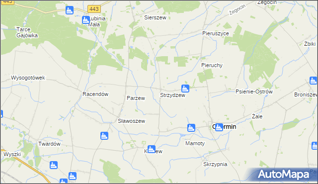 mapa Strzydzew, Strzydzew na mapie Targeo