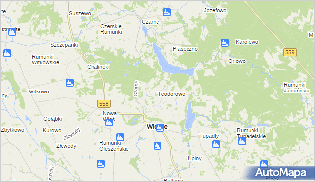 mapa Teodorowo gmina Wielgie, Teodorowo gmina Wielgie na mapie Targeo