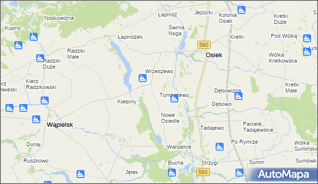 mapa Tomaszewo gmina Osiek, Tomaszewo gmina Osiek na mapie Targeo