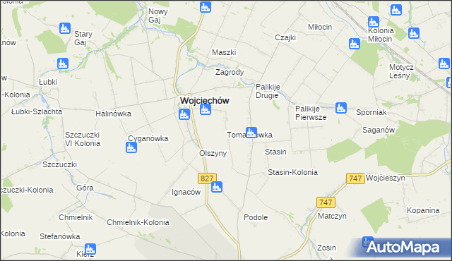 mapa Tomaszówka gmina Wojciechów, Tomaszówka gmina Wojciechów na mapie Targeo