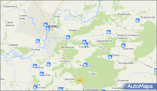 mapa Trzcianki gmina Pyzdry, Trzcianki gmina Pyzdry na mapie Targeo