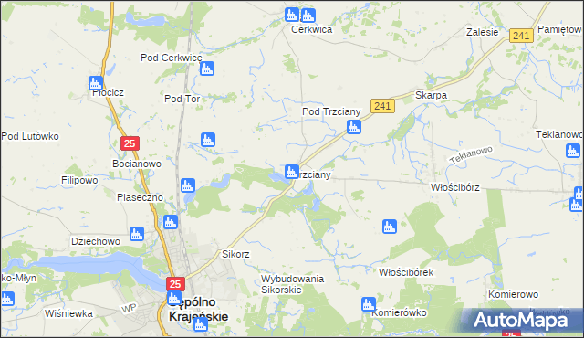 mapa Trzciany gmina Sępólno Krajeńskie, Trzciany gmina Sępólno Krajeńskie na mapie Targeo