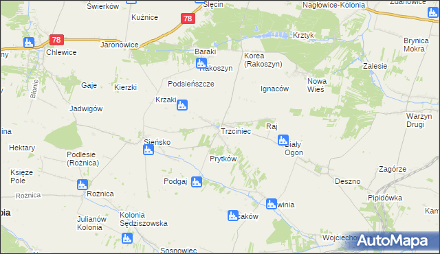 mapa Trzciniec gmina Nagłowice, Trzciniec gmina Nagłowice na mapie Targeo