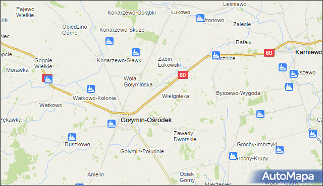 mapa Wielgołęka, Wielgołęka na mapie Targeo