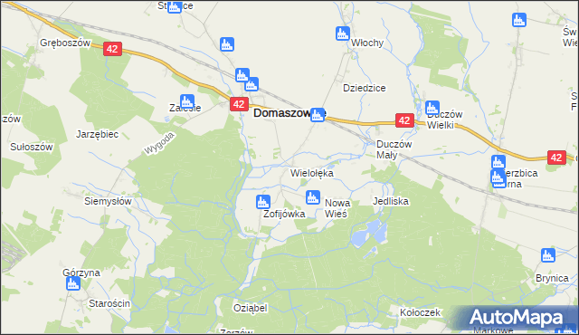 mapa Wielołęka gmina Domaszowice, Wielołęka gmina Domaszowice na mapie Targeo