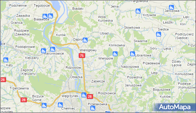 mapa Wielopole gmina Chełmiec, Wielopole gmina Chełmiec na mapie Targeo