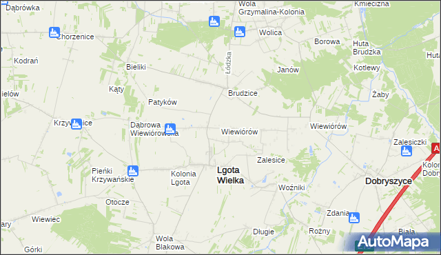 mapa Wiewiórów gmina Lgota Wielka, Wiewiórów gmina Lgota Wielka na mapie Targeo