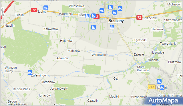 mapa Witkowice gmina Brzeziny, Witkowice gmina Brzeziny na mapie Targeo