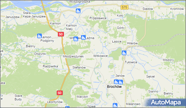 mapa Witkowice gmina Młodzieszyn, Witkowice gmina Młodzieszyn na mapie Targeo