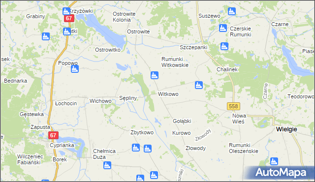 mapa Witkowo gmina Wielgie, Witkowo gmina Wielgie na mapie Targeo