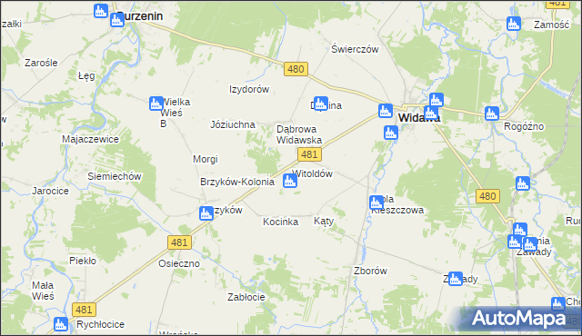mapa Witoldów gmina Widawa, Witoldów gmina Widawa na mapie Targeo