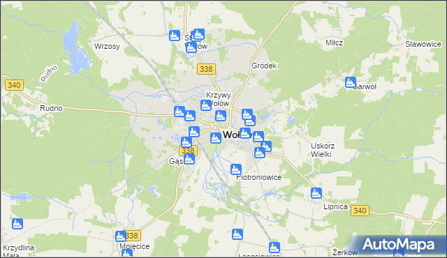 mapa Wołów, Wołów na mapie Targeo