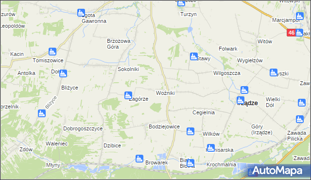 mapa Woźniki gmina Irządze, Woźniki gmina Irządze na mapie Targeo