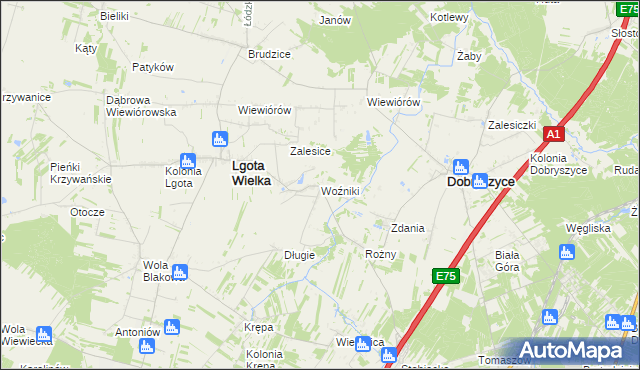 mapa Woźniki gmina Lgota Wielka, Woźniki gmina Lgota Wielka na mapie Targeo