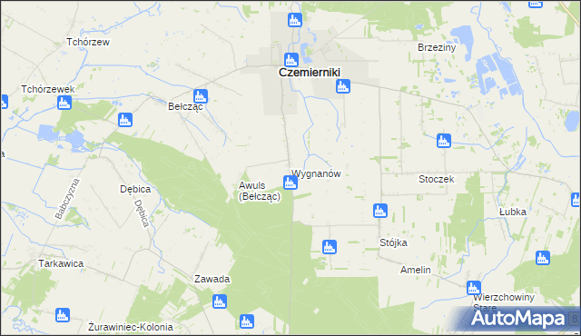 mapa Wygnanów gmina Czemierniki, Wygnanów gmina Czemierniki na mapie Targeo