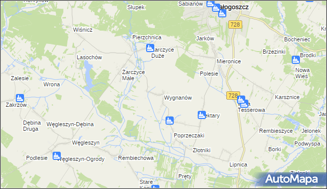 mapa Wygnanów gmina Małogoszcz, Wygnanów gmina Małogoszcz na mapie Targeo