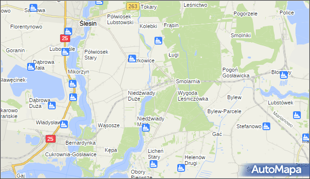 mapa Wygoda gmina Ślesin, Wygoda gmina Ślesin na mapie Targeo