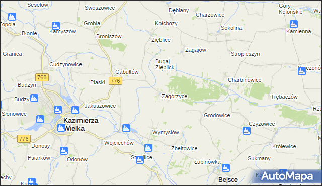 mapa Zagórzyce gmina Kazimierza Wielka, Zagórzyce gmina Kazimierza Wielka na mapie Targeo